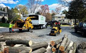 Best Soil Testing and Treatment  in Tappan, NY