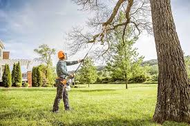 Best Lawn Renovation and Restoration  in Tappan, NY