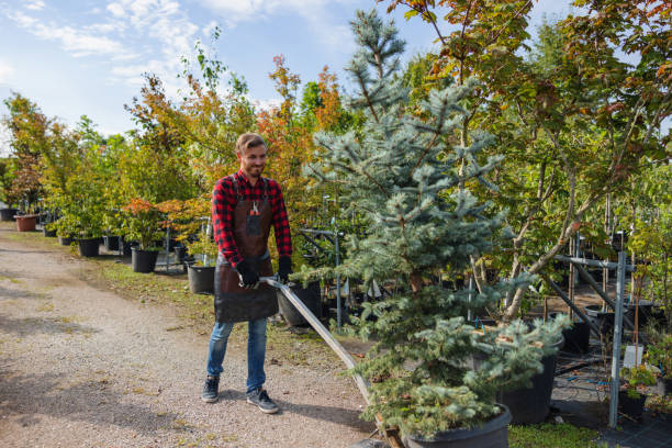 Best Tree Health Inspection  in Tappan, NY