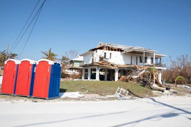 Tappan, NY Tree Removal Company
